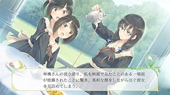 Amazon.com: Prototype Flowers Les Quatre Saisons SONY PS4