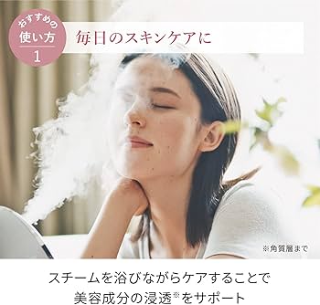 Amazon.co.jp: フェスティノ フェイシャル モイスト ナノスチーマー