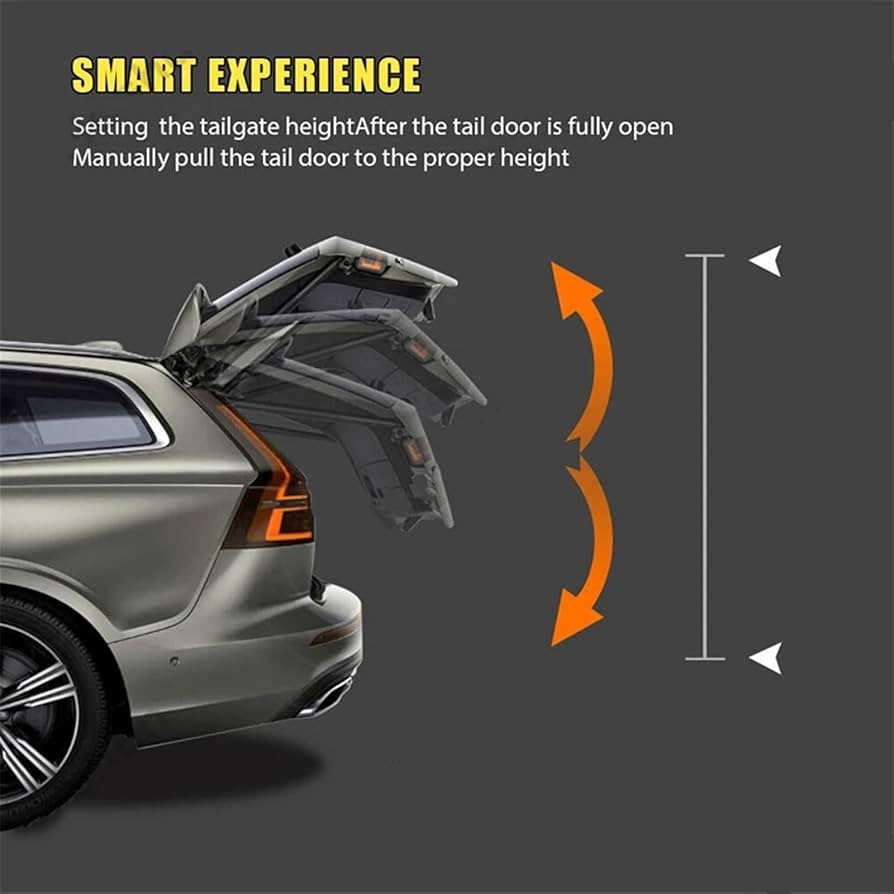 Amazon.co.jp: バックドアダンパー レクサス NT200 NX300H NX300 2017