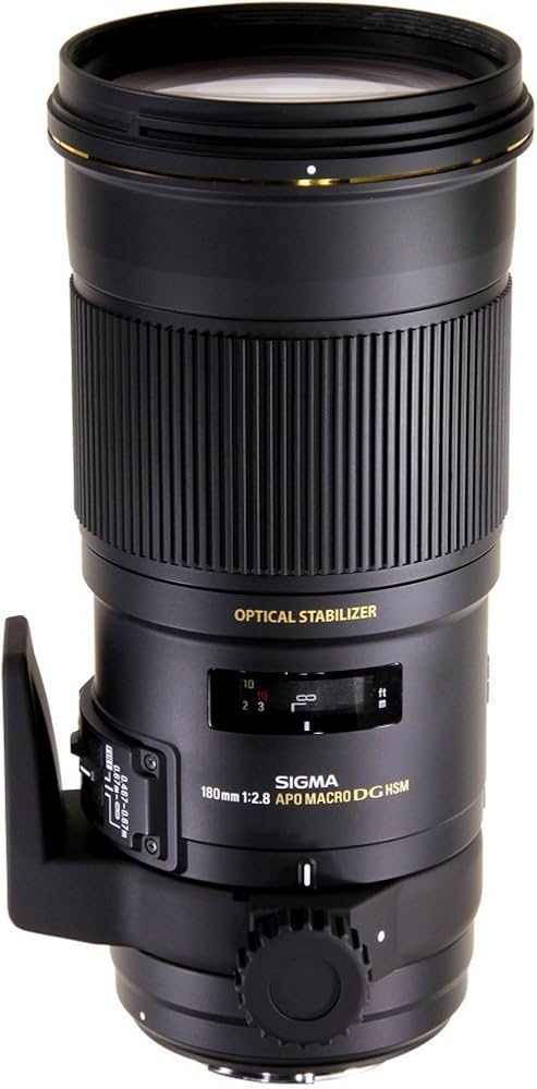 Amazon.com : Sigma 180mm F2.8 EX APO DG HSM OS Macro for Nikon SLR
