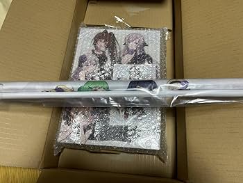 Amazon.co.jp: ゴシックは魔法乙女 公式メモリアルファンブック 一次