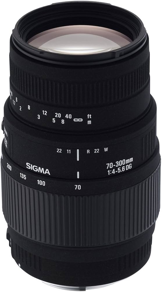 Amazon.co.jp: SIGMA 望遠ズームレンズ APO 70-300mm F4-5.6 DG MACRO
