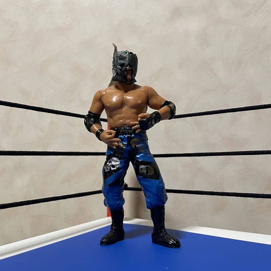 Amazon | ケンドー・カシン フィギュア 新日本 プロレス 全日本 NOAH