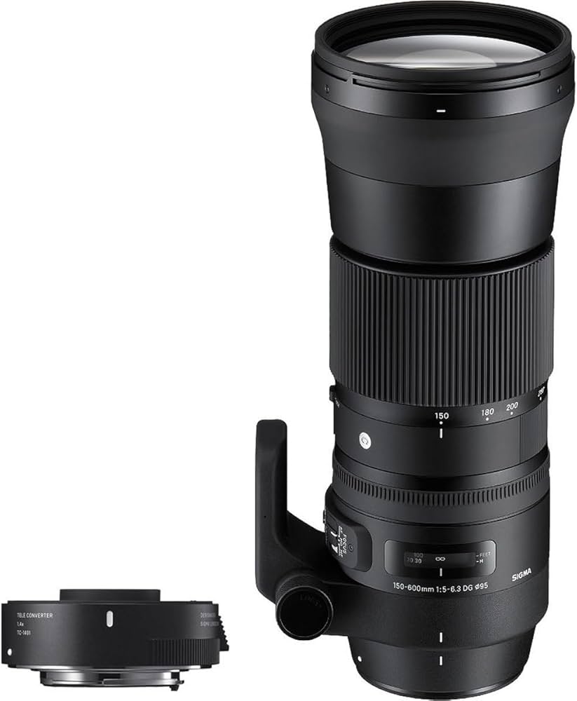 Amazon.co.jp: シグマ(Sigma) レンズ 150-600mm F5-6.3 DG OS HSM