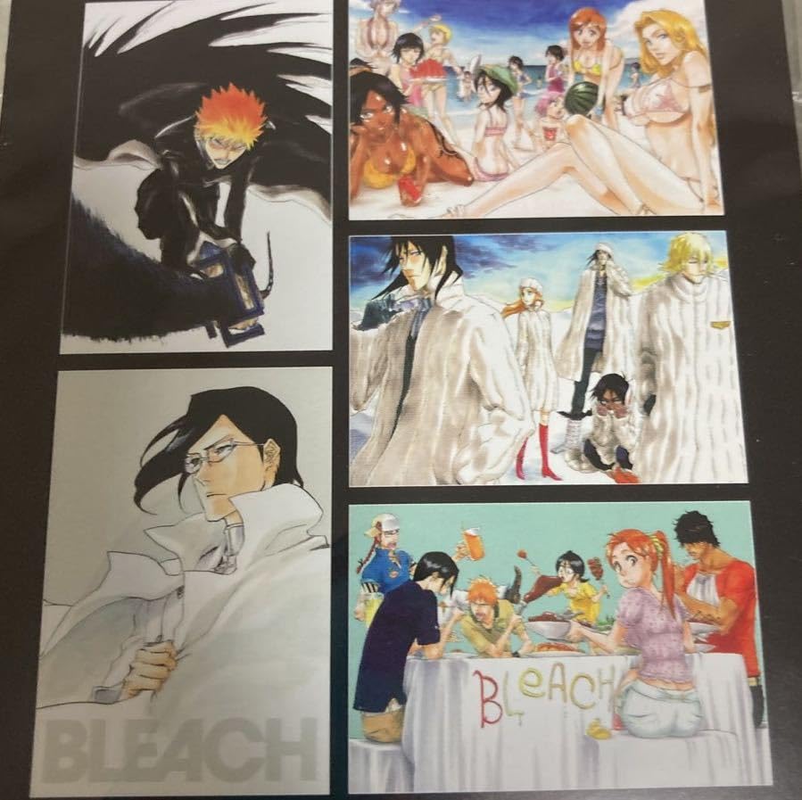 BLEACH BLEACH カード ファイル 非売品 カード ファイル 非売品 BLEACH
