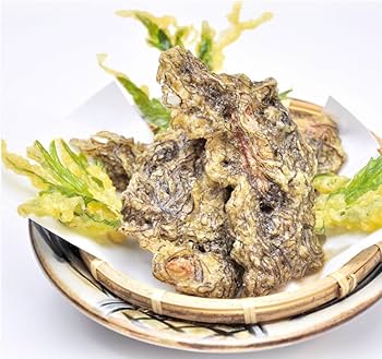 Amazon.co.jp: 生もずく 国内産 細いモズク 1kg 冷凍便可能 ・細もずく