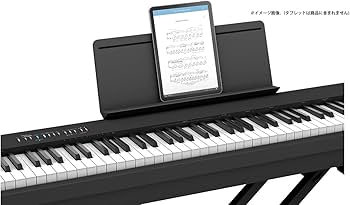 Amazon | FP-30X BK【純正ケースカバー CB-B88V2 ＋ Xスタンド KS100B