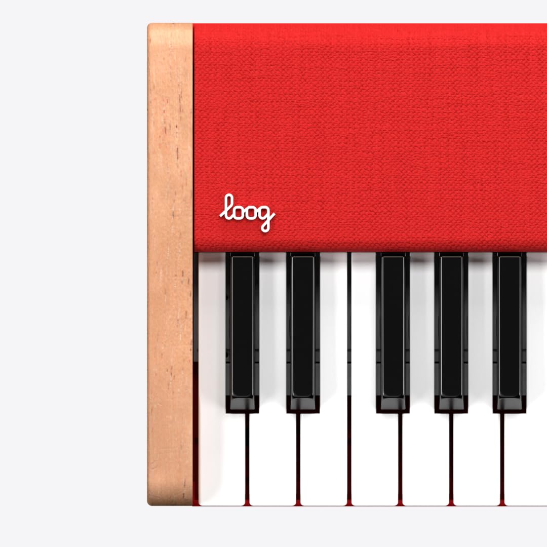 Amazon.com: Loog digital piano - portable keyboard for beginners