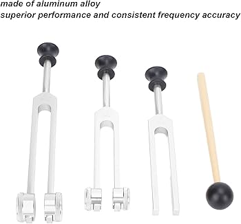 Amazon.co.jp: Es tink 音叉治癒器具、医療用音叉セット256Hzを