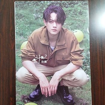 Amazon.co.jp: ①シューカイ許凱 ポスター8枚 君の笑顔にメロメロ 許凱