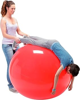 Amazon | ギムニク(GYMNIC) 120 | Gymnic | バランスボール