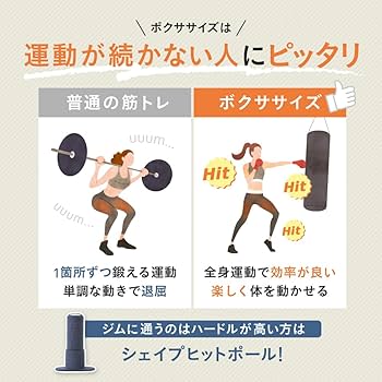 Amazon | [gymterior] ジムテリア シェイプヒットポール 自宅 室内