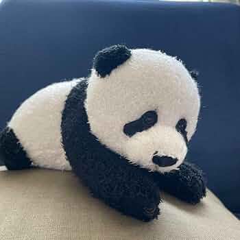 61povmRvflL._AC_UF350,