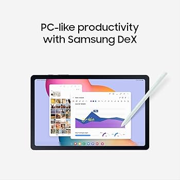 Amazon.com : Samsung Galaxy Tab S6 Lite (2022) 10.4