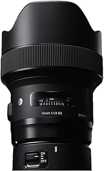 Amazon.com : Sigma 14mm f/1.8 Art DG HSM Lens (for Sony E Cameras
