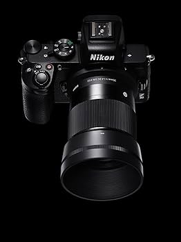 Amazon.com : 30mm F1.4 DC DN Nikon Z Mount : Electronics