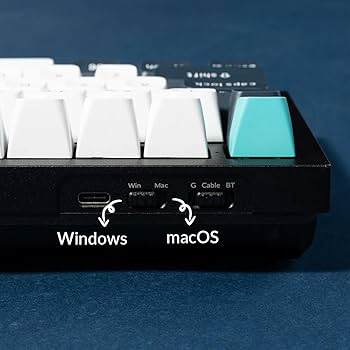 Amazon.com: Keychron Q6 Max 100% Full-Size Layout Custom Wireless