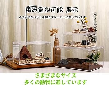 Amazon | レプタイルボックス 爬虫類 飼育ケース 虫かご 大 透明