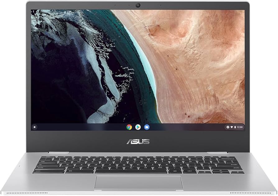 Amazon.com: ASUS Chromebook Flip CX1400 CX1400FKA-DS84FT 14