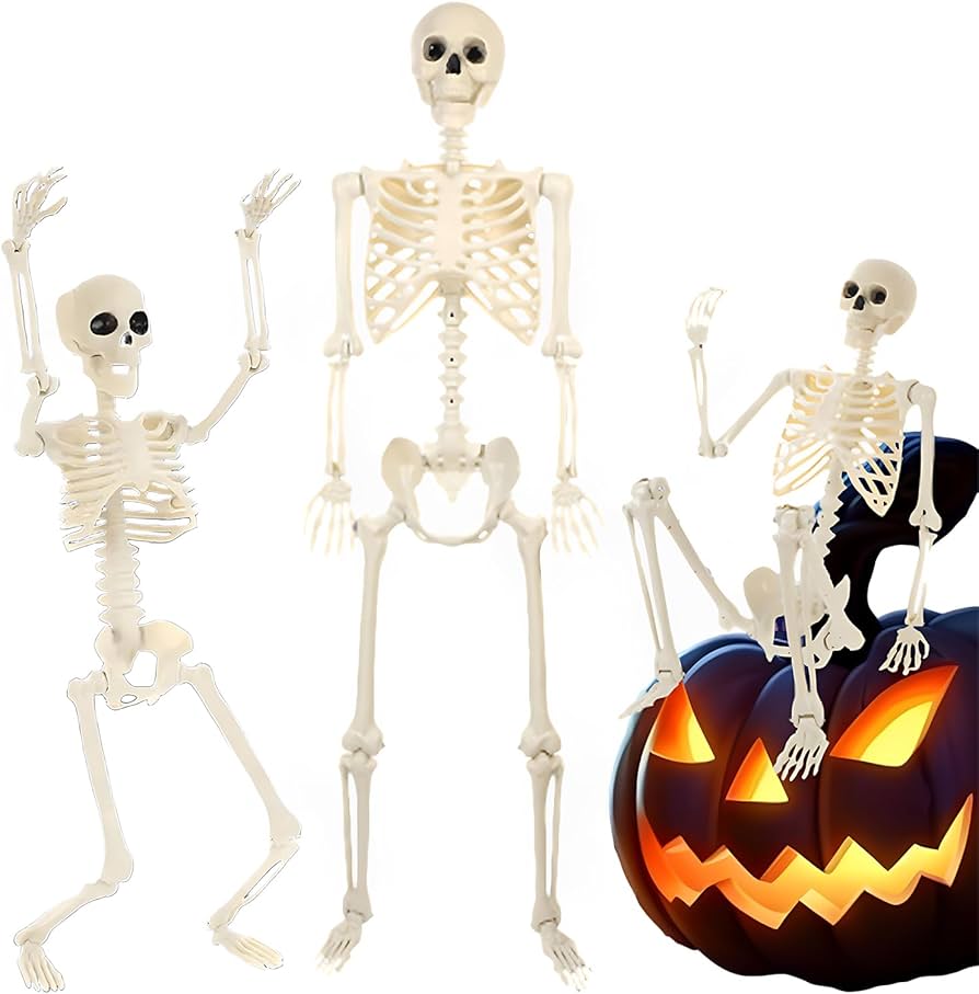 Amazon | ハロウィン 飾り 骸骨 90cm 可動式 スケルトン 人体模型 骨格