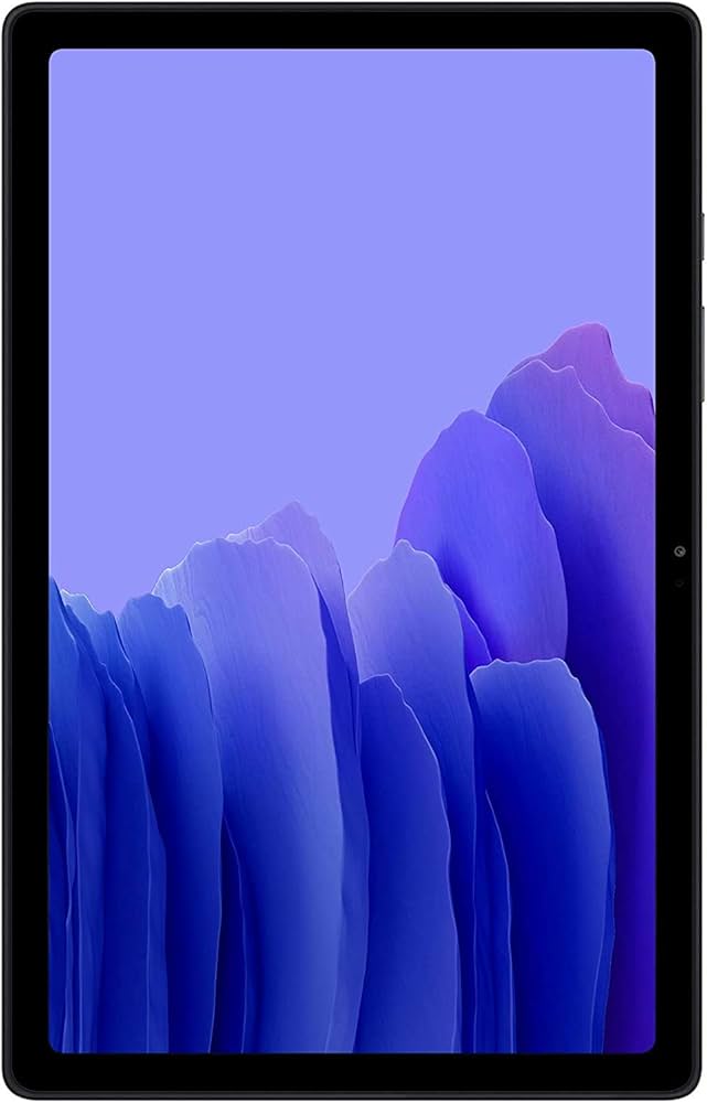 Amazon.com: Samsung Galaxy Tab A7 10.4 Wi-Fi 32GB SM-T500 Gray