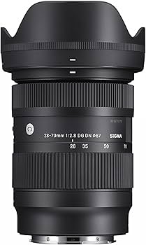 Amazon.com : Sigma 28-70mm F2.8 DG DN for L-Mount : Electronics