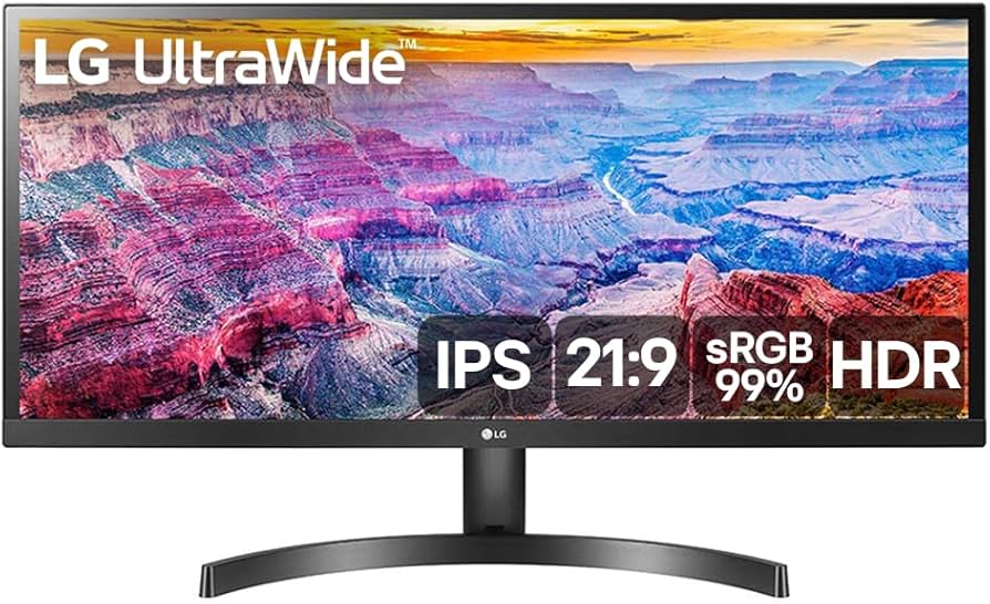 Monitor LG 29