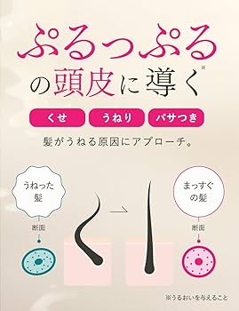 Amazon | b.ris ビーリス オーガニックスパークリングシャンプー