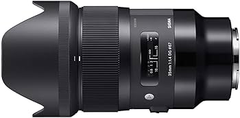 Amazon.com : Sigma 35mm F1.4 Art DG HSM for Sony E : Electronics