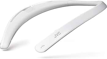 61sVX0Z81ML._AC_UF350,