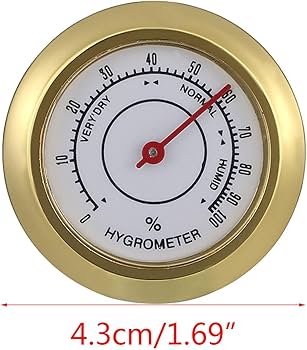 61sh0gMx3EL._AC_UF350,