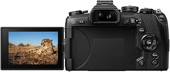 Amazon.com : Olympus OM-D E-M1 Mark II Kit, Micro Four Thirds