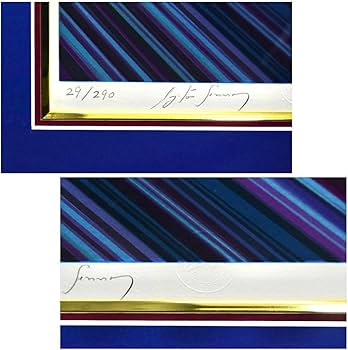 Amazon.co.jp: (4-8022)長岡秀星『アイルトンセナ 栄への軌跡』29290