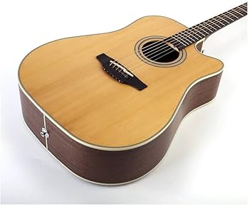 Amazon.com: Takamine GD20CE-NS Dreadnought Cutaway Acoustic