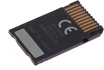 Amazon.com: 16GB Memory Stick PRO Duo for PSP Accessories1000 2000