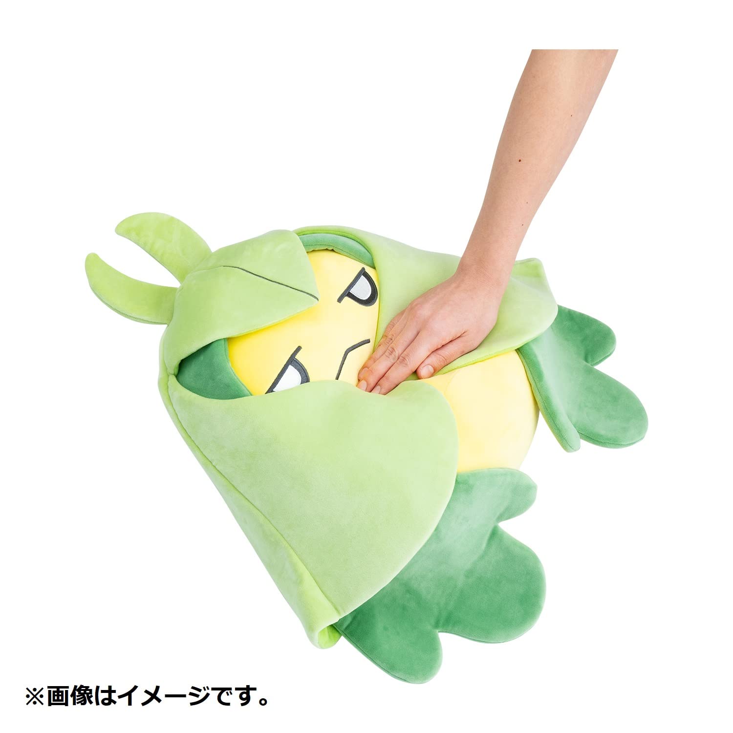 Amazon.co.jp: ポケモンセンターオリジナル もっちりっちぬいぐるみ