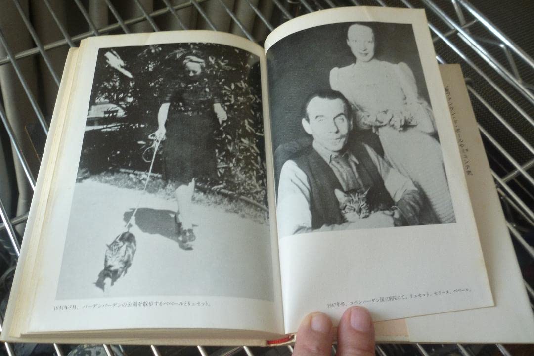 Amazon.co.jp: 10冊全初版うち初版第一刷8冊 ルイ＝フェルディナン