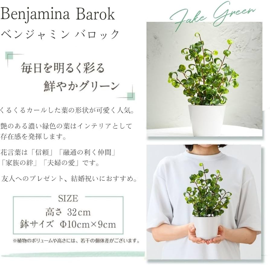 Amazon｜HANAYUKI 人工観葉植物 フェイクグリーン ベンジャミン