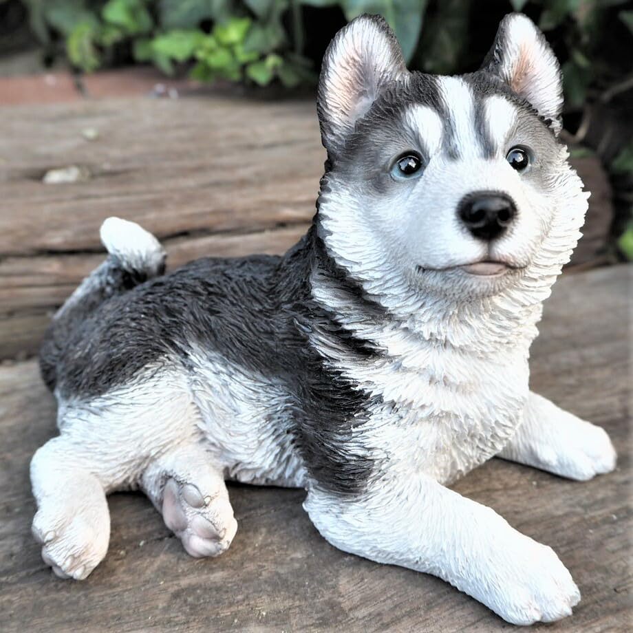 Amazon.co.jp: 犬の置物 ハスキー T14270 シベリアンハスキー