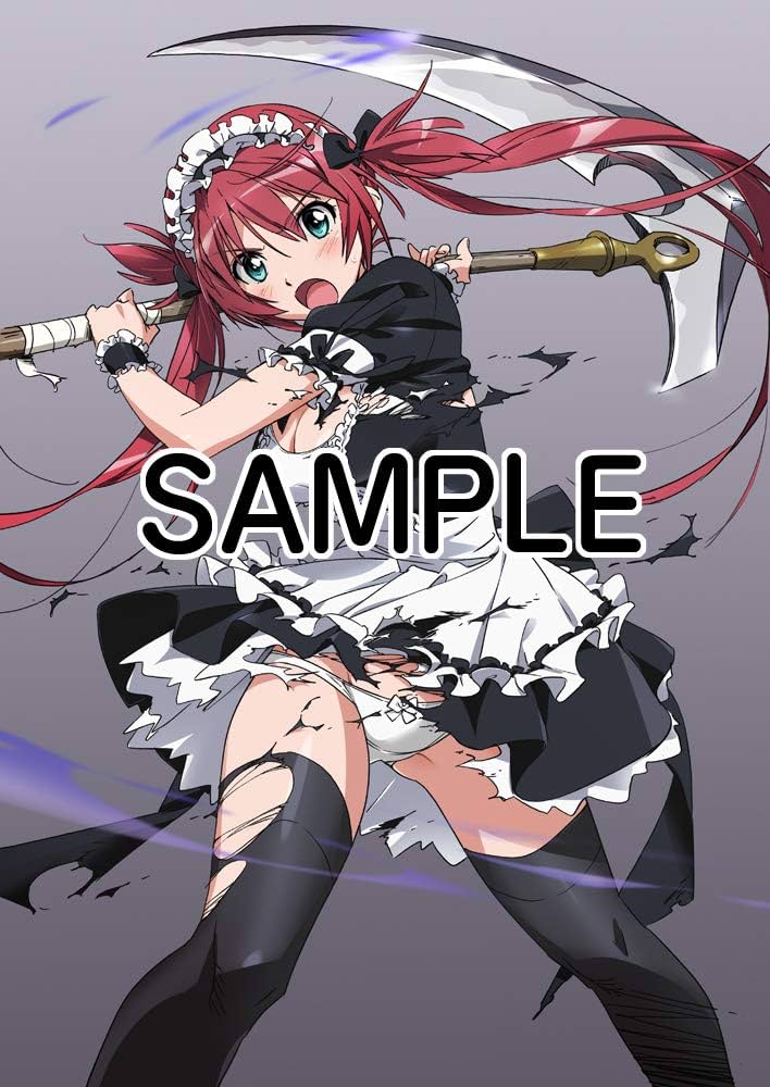 クイーンズブレイド WHITE TRIANGLE 美闘士絵巻 (ホビージャパンMOOK