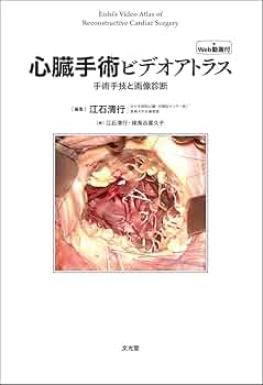 61bSG5plmmL._AC_UF350,