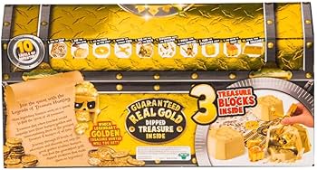 Amazon.com: Treasure X 3 Pack : Everything Else