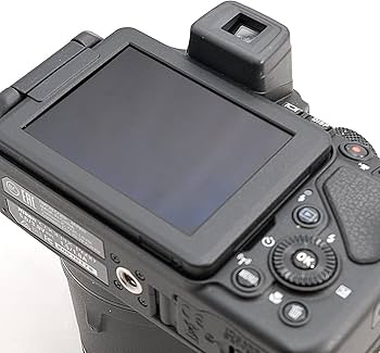 Amazon.com : Nikon COOLPIX P600(Black) : Electronics