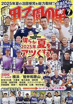 61cNSK9iV2L._AC_UF350,