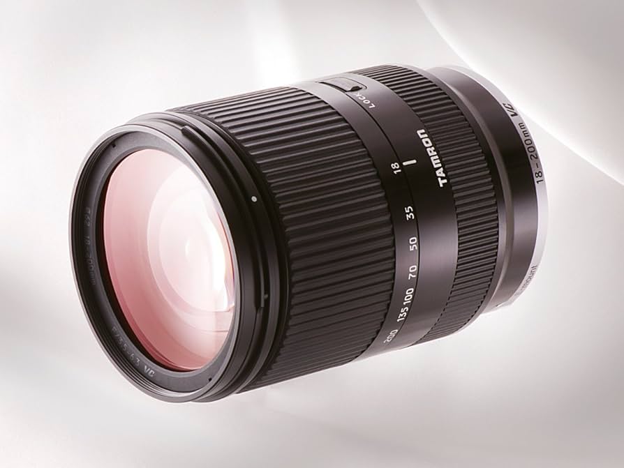 Amazon.com : Tamron 18-200mm Di III VC (Black) for Sony E-Mount