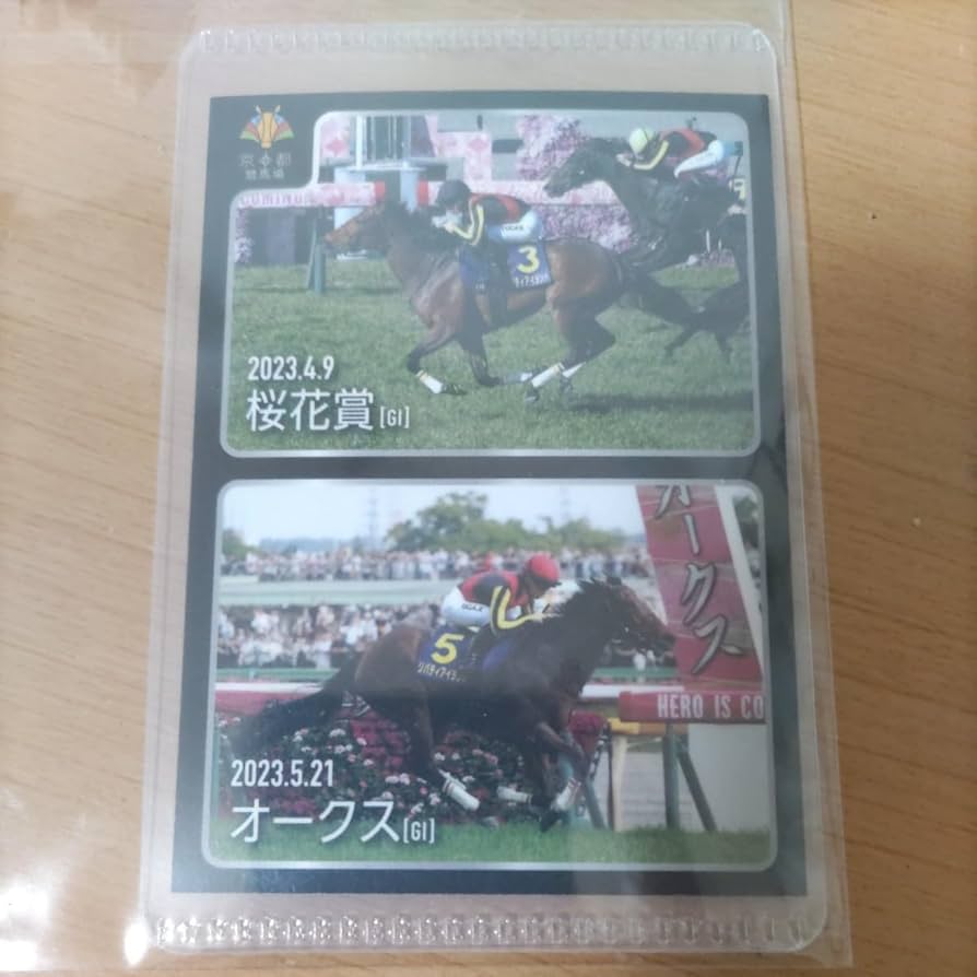 リバティアイランド 阪神JF 桜花賞 オークス 秋華賞 現地的中単勝馬券