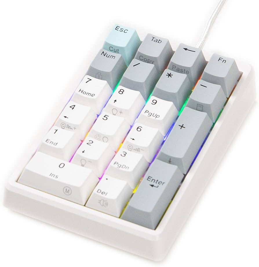 Amazon.co.jp: NiZテンキー EC21-1M 【バックライト付き】21キー 有線