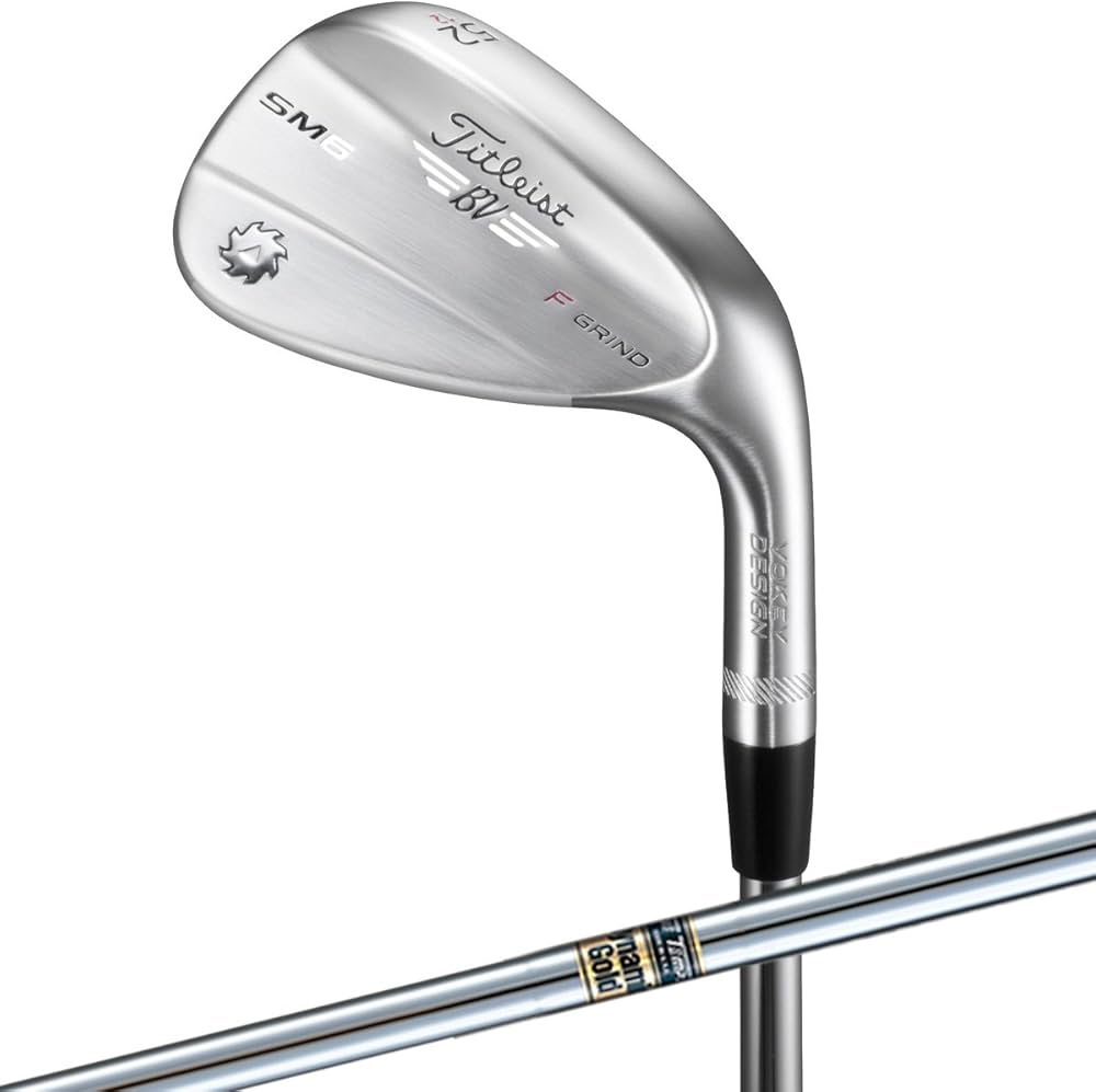 Amazon.co.jp: TITLEIST(タイトリスト) SM6 SM6 ツアークローム