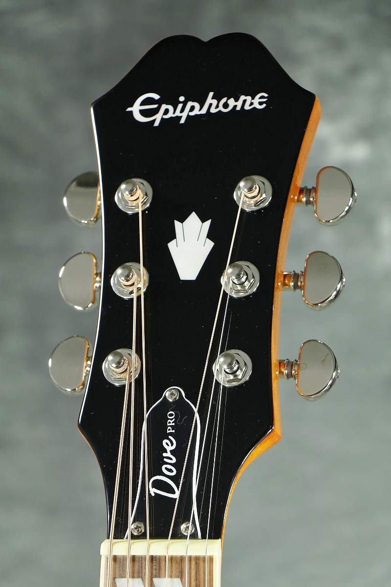 Amazon | EPIPHONE/DOVE STUDIO VB (Violinburst) (DOVE PRO