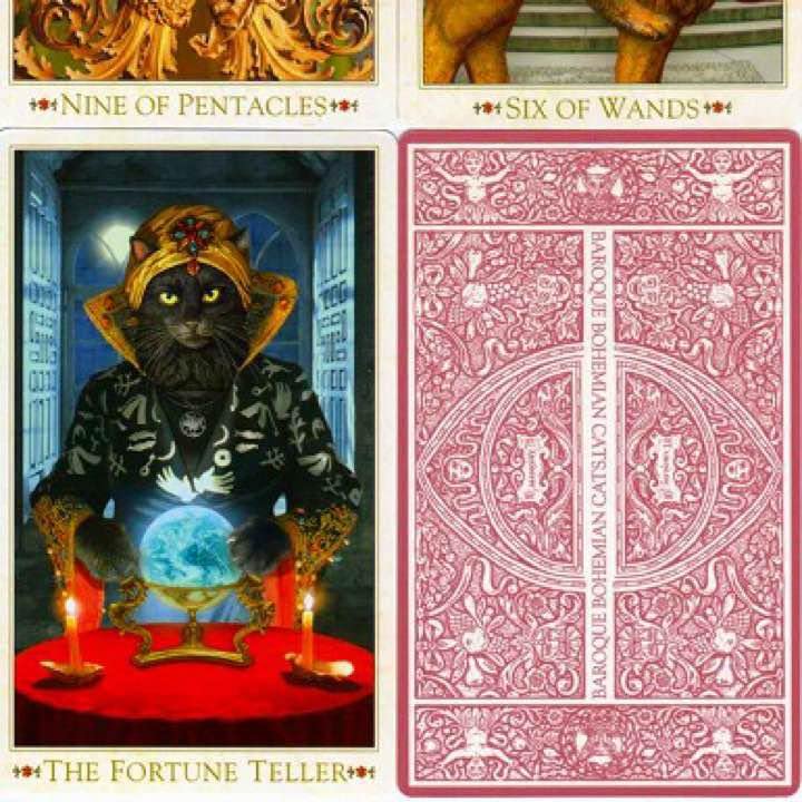 Amazon.co.jp: 初版 タロット BAROQUE BOHEMIAN CATS'TAROT : おもちゃ